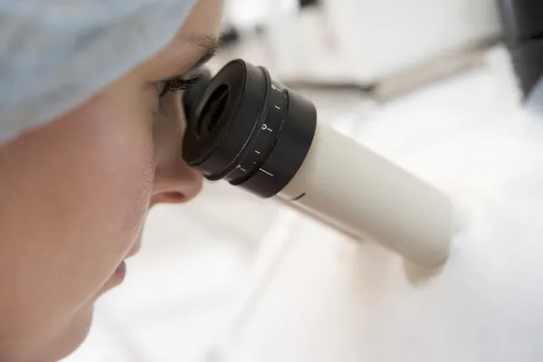 Embryologist Adding Sperm Eggs Laboratory — Stock Photo, Image