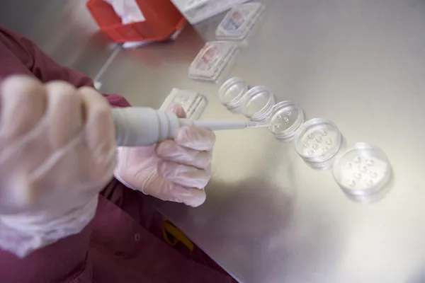 胚胎学家准备在实验室中的文化 — 图库照片