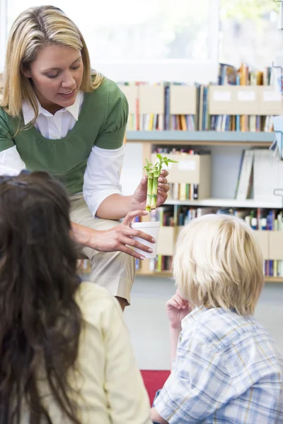 Kindergarten teacher showing seedling to children — Φωτογραφία Αρχείου