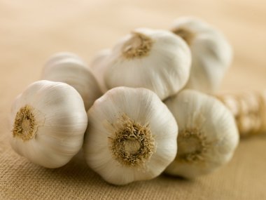 Bulbs of Garlic clipart