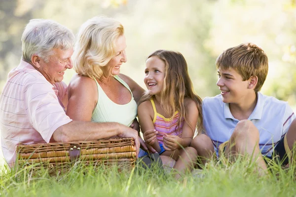 Grandparents having a picnic with grandchildren — Stock Photo, Image