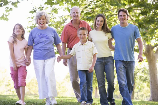Famiglia estesa che cammina nel parco tenendosi per mano e sorridendo — Foto Stock