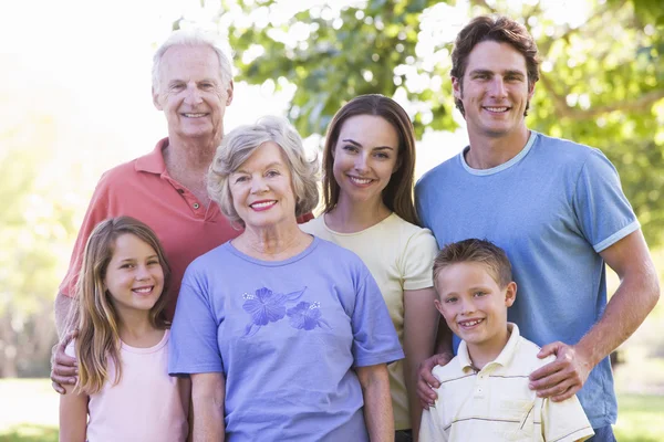 Extended family standing in park smiling — Stock Photo, Image