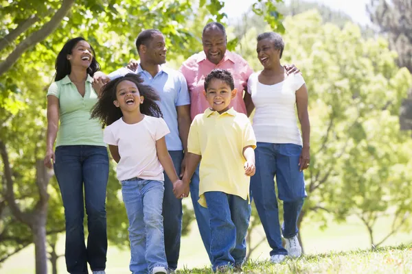 Amplia familia caminando por el parque tomados de la mano y sonriendo —  Fotos de Stock