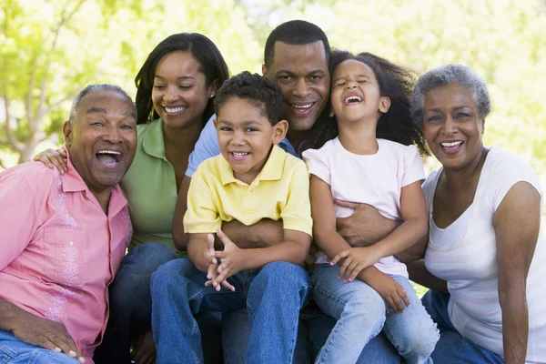 Geniş aile açık havada gülümseyerek oturan — Stok fotoğraf