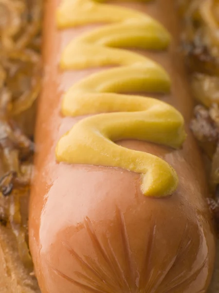 Hot dog s smaženou cibulkou a hořčicí — Stock fotografie