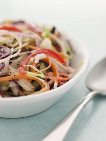 stock image Dish Of Seeded Slaw