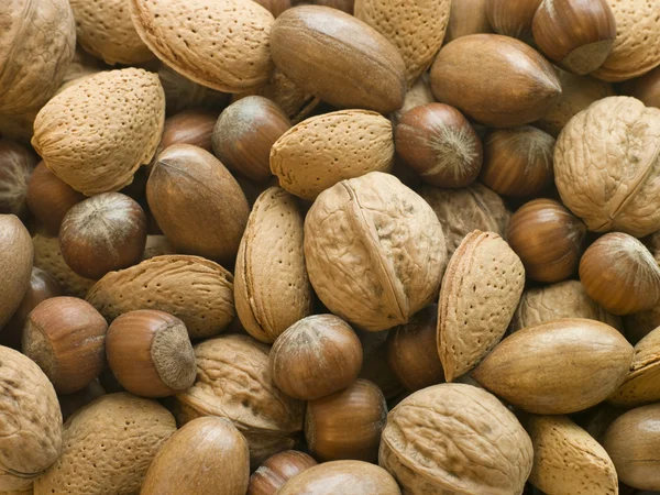 Val av blandade nötter med skal — Stockfoto
