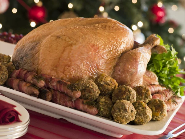 Traditional Roast Turkey Trimmings — Stock Photo, Image