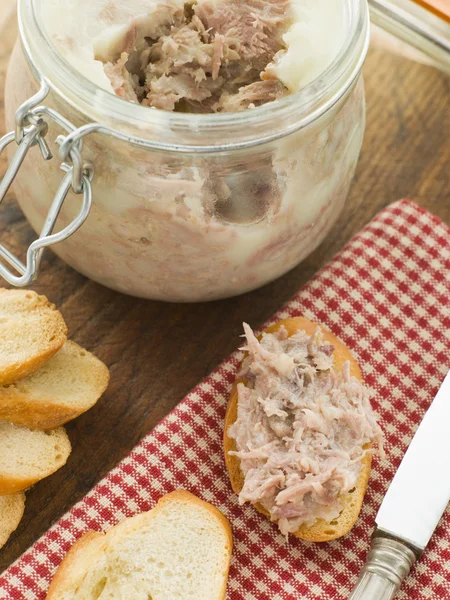 Rilette Duck Pork Toasted Baguette Croutes — Stock Photo, Image