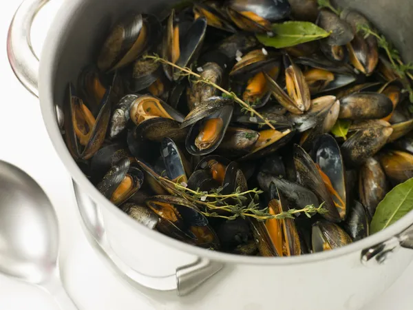 Pan of Moules Mariniere — Stock Photo, Image