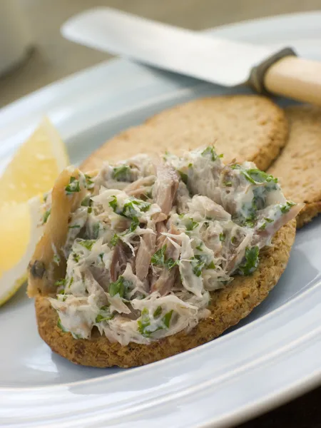 Paté de caballa ahumado de maíz con galletas de avena — Foto de Stock