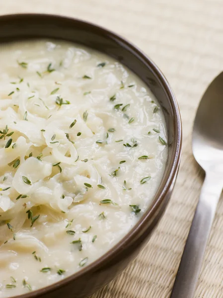 Cuenco de cebolla blanca y sopa de sidra — Foto de Stock