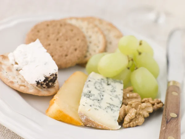 Tabak Peynir Bisküvi — Stok fotoğraf