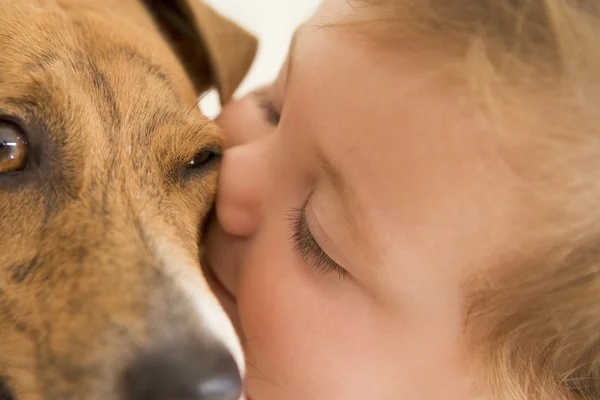Bébé embrasser chien — Photo