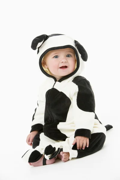 Bebê Traje Vaca — Fotografia de Stock