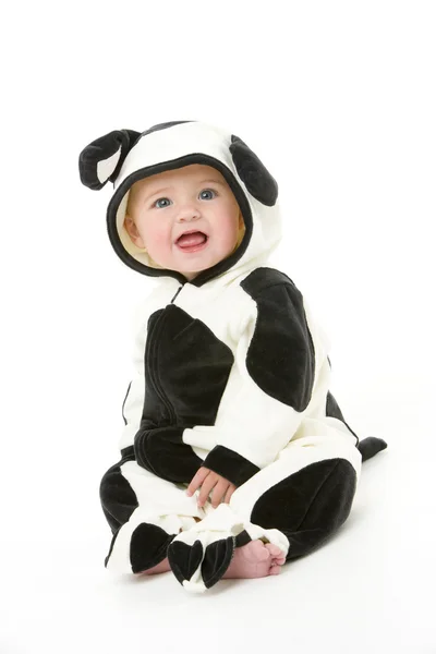 Bebê em traje de vaca — Fotografia de Stock