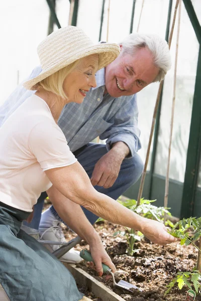 Mujer Invernadero Plantando Semillas Hombre Sosteniendo Regadera — Foto de Stock