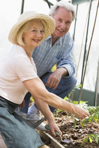女人在温室种植种子和该名男子手持喷壶 — 图库照片