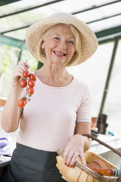 Mulher Estufa Segurando Tomates Cereja Sorrindo — Fotografia de Stock