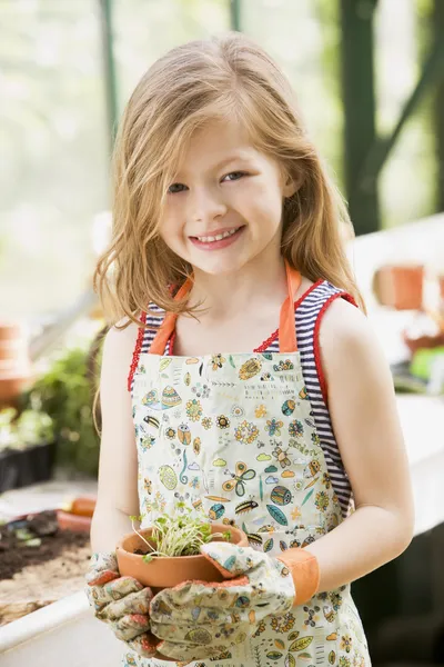 Молодая девушка в оранжерее держит цветок в горшке улыбаясь — стоковое фото