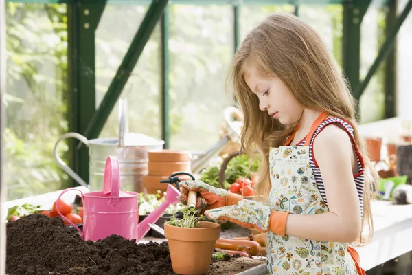 Junges Mädchen Gewächshaus Setzt Pflanze Topf — Stockfoto