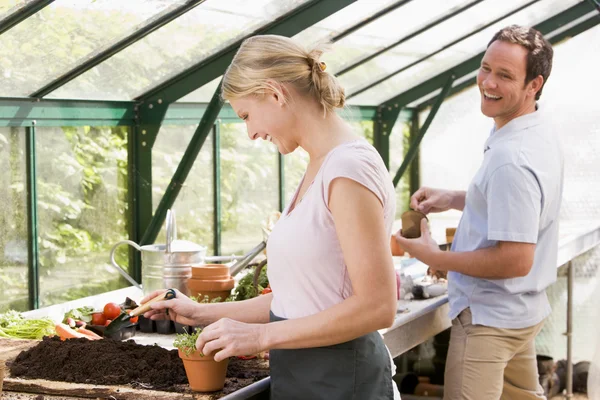Par i växthus att sätta jord i krukor leende — Stockfoto