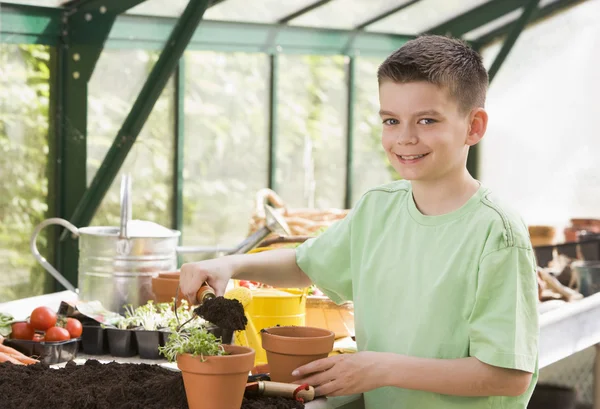 Mladík ve skleníku uvedení půdy v hrnci s úsměvem — Stock fotografie