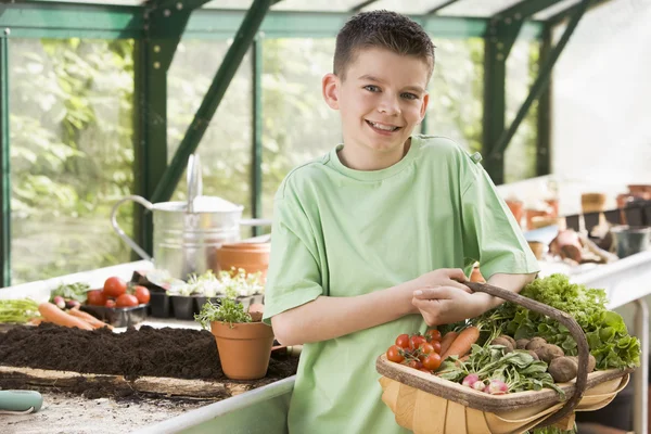 Młody Chłopak Cieplarnianych Trzyma Koszyka Warzywa Uśmiechający Się — Zdjęcie stockowe