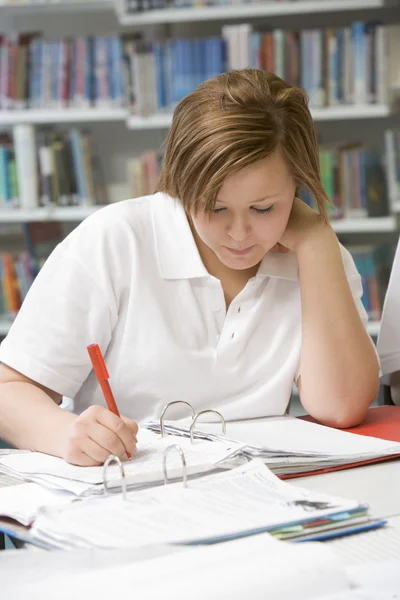 Student studying in library Royalty Free Stock Photos