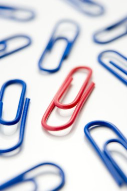 Studio Shot Of One Red Paperclip Amid Blue Paperclips clipart