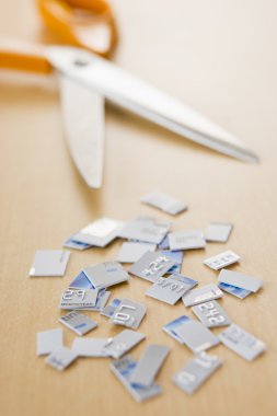 Credit Card In Pieces clipart