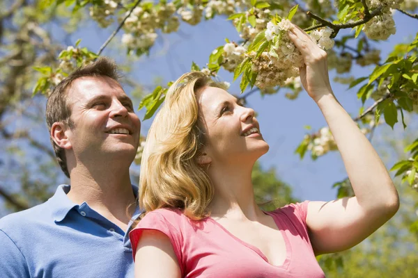 Couple Standing Outdoors Holding Blossom Smiling — Stock Photo, Image