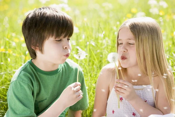Two young children sitting outdoors blowing dandelion heads smil — Stock Photo, Image