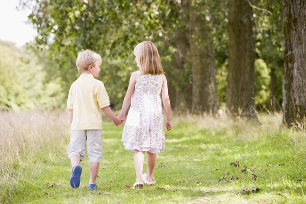 Двое маленьких детей идут по тропинке, держась за руки — стоковое фото