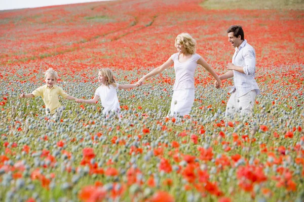 家庭走在罂粟场举行手微笑 — 图库照片