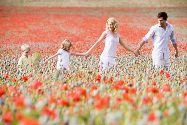 Family walking in poppy field holding hands smiling — Stock Photo, Image