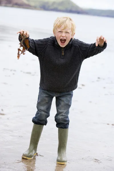 Junge steht am Strand und hält lächelnde Blätter — Stockfoto