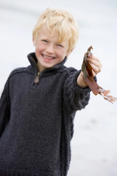 Мальчик стоит на пляже, держа листья улыбаясь — стоковое фото