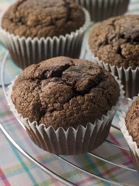 Muffins de chocolate em uma cremalheira de resfriamento — Fotografia de Stock