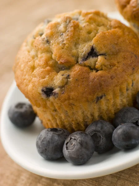 Áfonyás Muffin Áfonyával Tányéron — Stock Fotó