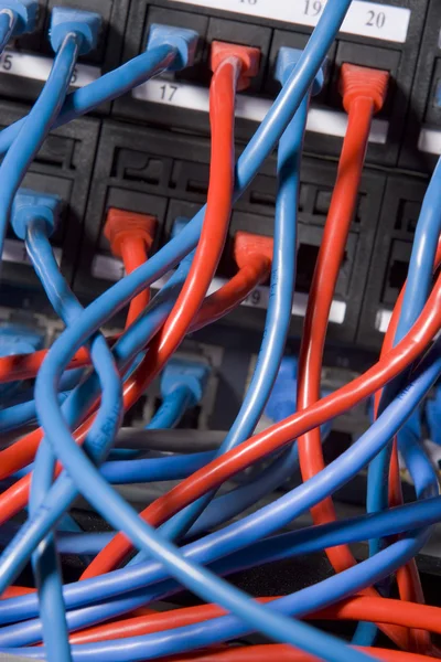 Cabos de computador conectados de forma caótica na parte de trás de um servidor — Fotografia de Stock