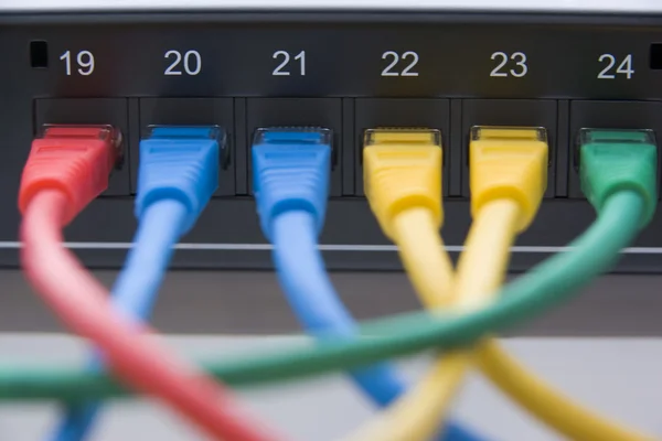 Cables de computadora conectados a un router — Foto de Stock