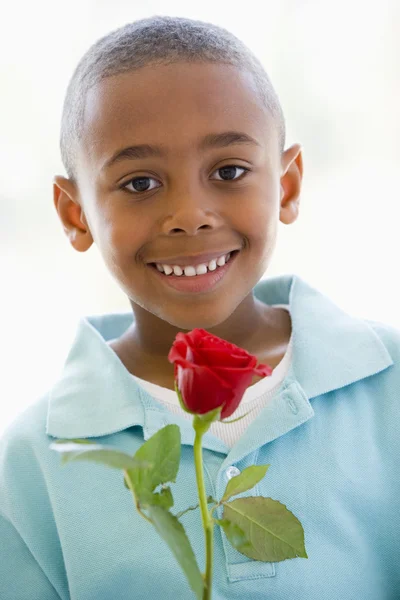 Νεαρό Αγόρι Κρατώντας Τριαντάφυλλο Χαμογελώντας — Φωτογραφία Αρχείου