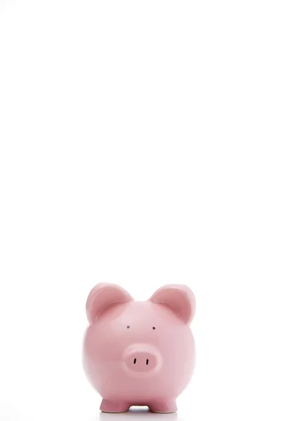 Front View Piggy Bank — Stock Photo, Image