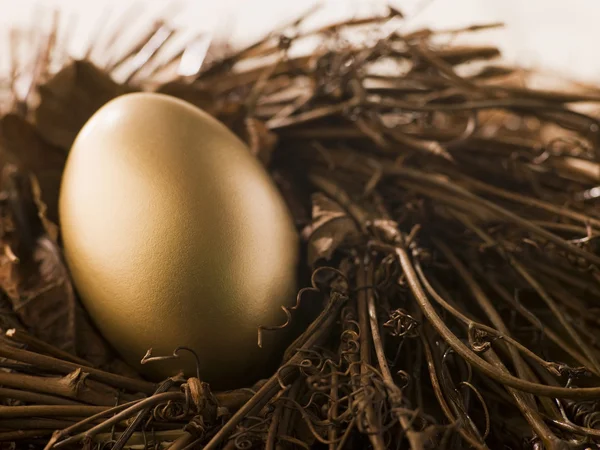 Złoty Jaj Gnieździe — Zdjęcie stockowe