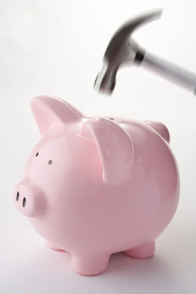 Hamer streven naar piggy bank — Stockfoto