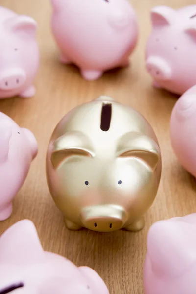 Golden Piggy Bank Among Many Pink Ones — Stock Photo, Image
