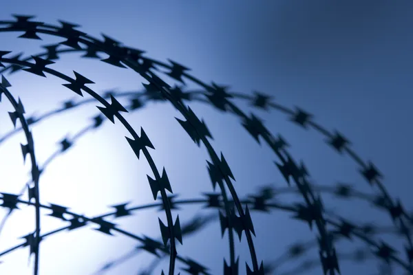 Barbed Wire Fence — Stock Photo, Image