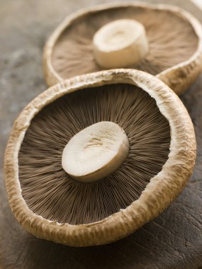 Two Portobello Mushrooms clipart